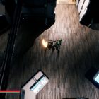 Portal Defect