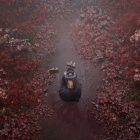 دانلود بازی SILENT HILL f برای کامپیوتر